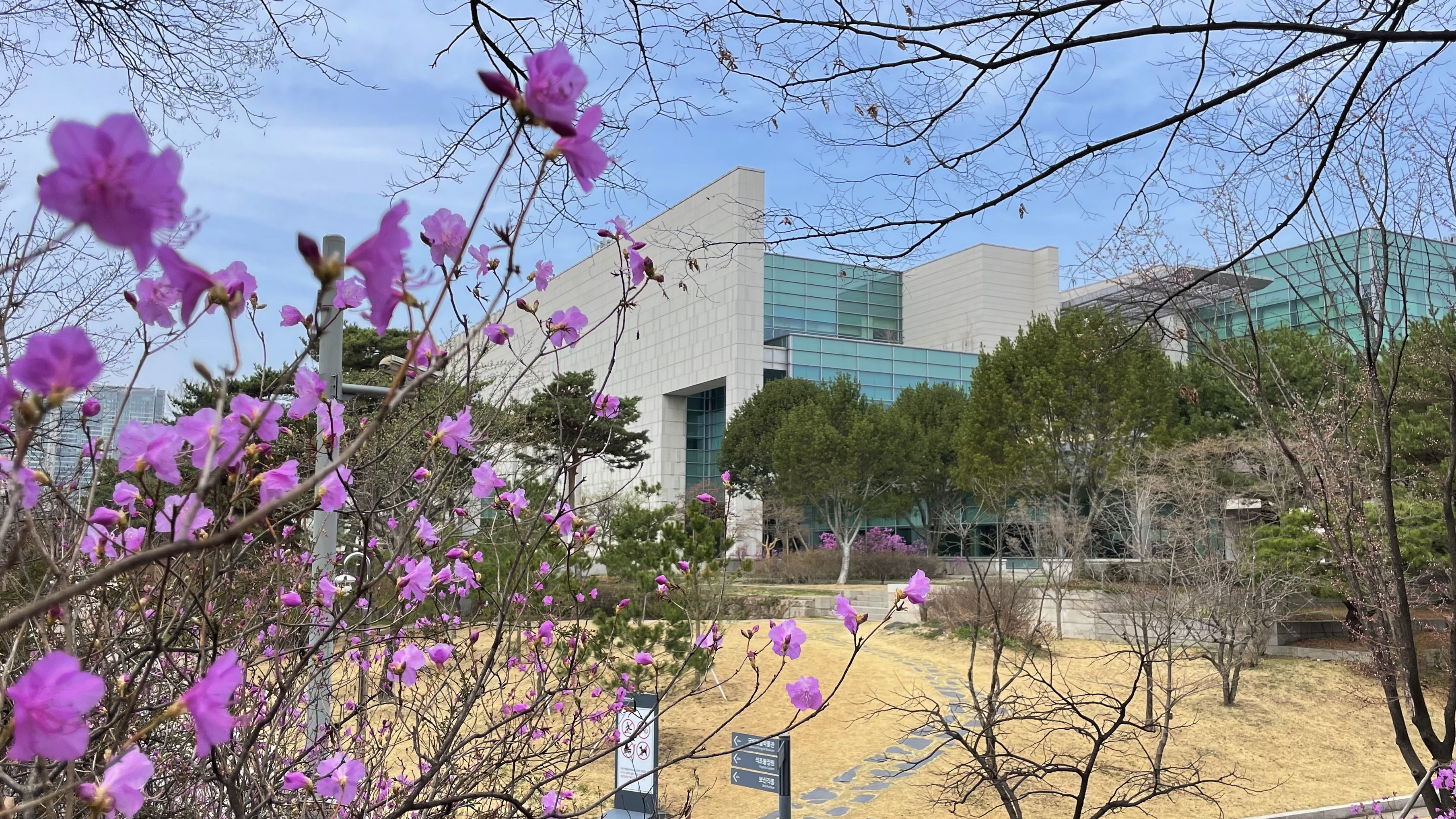 국립중앙박물관 역사의 정원